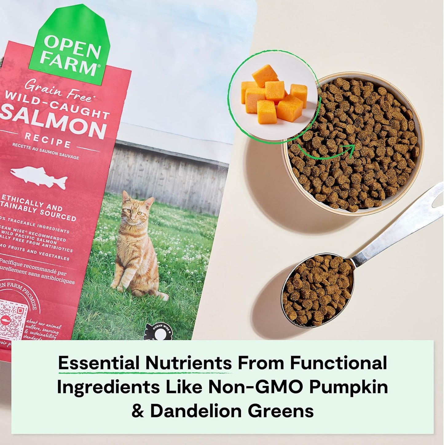 Open Farm, Grain Free Dry Cat Food, High-Protein Kibble for a Complete & Balanced Diet, Non-GMO Fruits & Vegetables, Prebiotic Fibers to Support Digestion, Wild-Caught Salmon Recipe, 4lb Bag