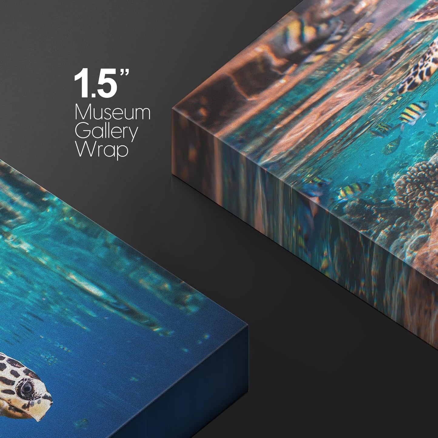 wall26 Canvas Print Wall Art Tropical Turtle Coral Reef Deep Sea Dive Nature Animals Photography Realism Rustic Scenic Landscape Wilderness Earth Colorful for Living Room, Bedroom, Office - 12"x18"