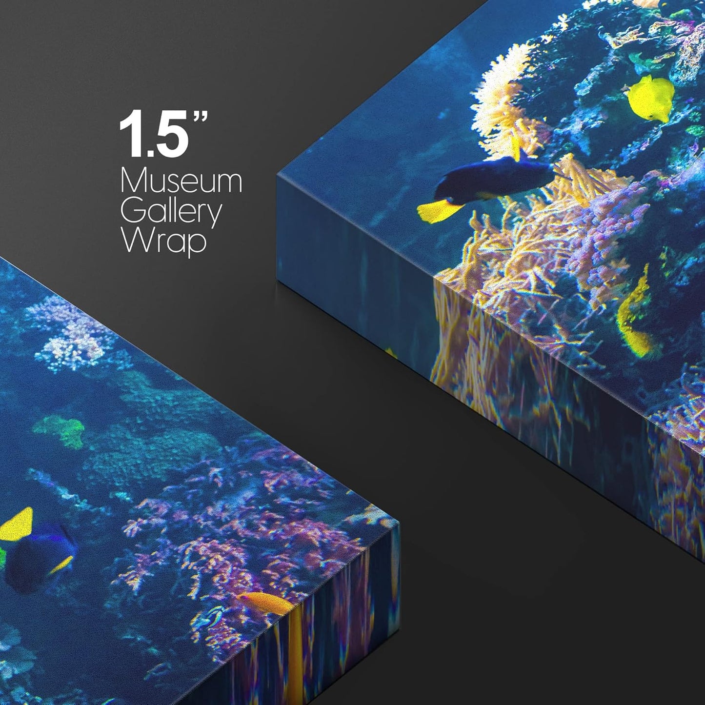 wall26 Canvas Print Wall Art Vibrant Multicolor Coral Reef Fish Ecosystem Nature Animals Photography Realism Rustic Scenic Landscape Wilderness Colorful for Living Room, Bedroom, Office - 16"x24"