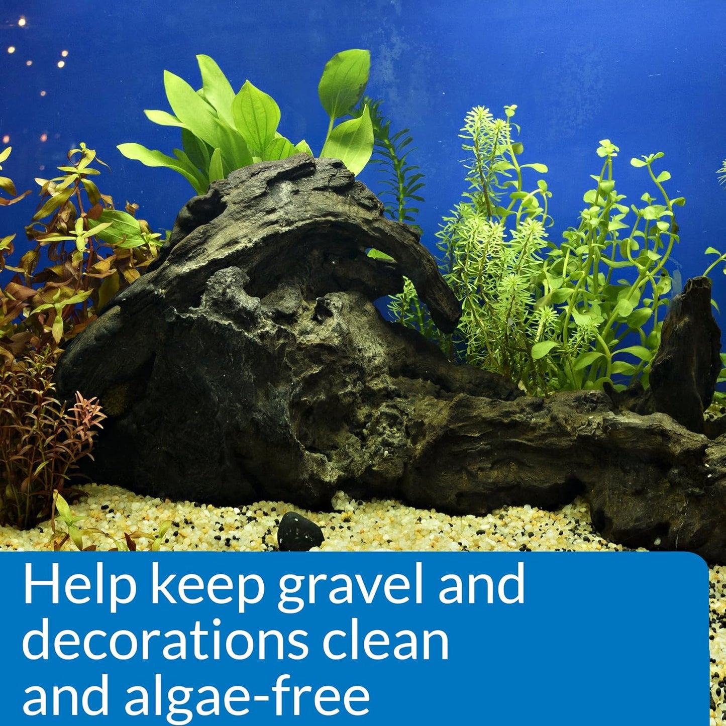 API Stress Zyme Freshwater and Saltwater Aquarium Cleaning Solution 1-Gallon Bottle