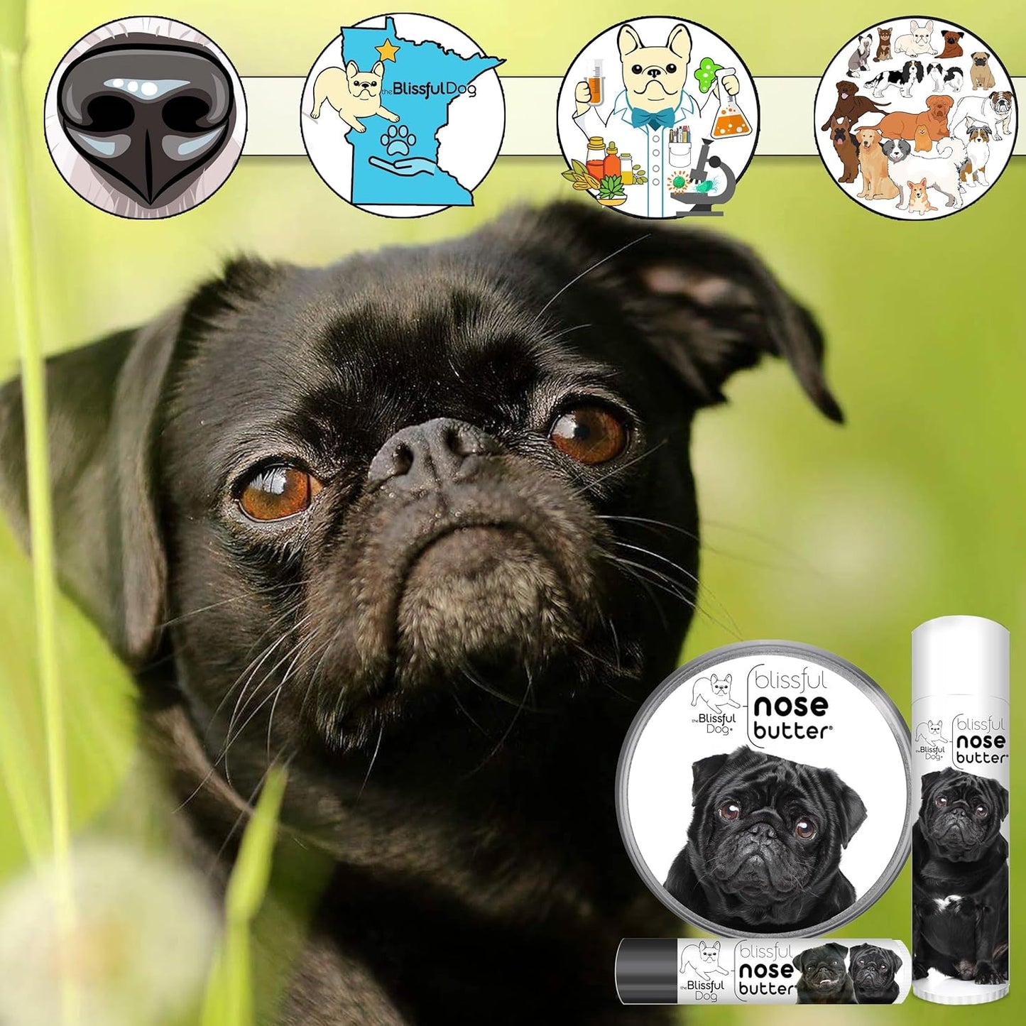 The Blissful Dog Black Pug Nose Butter, Versatile Dog Nose Balm for Dry Nose, Handcrafted Nose Moisturizer, Easy-to-Apply Dog Essentials, Unscented, 1 oz.