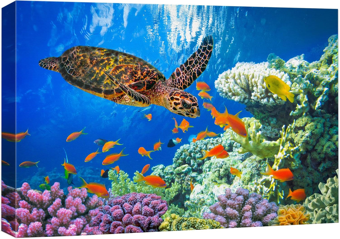 wall26 Canvas Print Wall Art Vibrant Neon Underwater Turtle, Reef & Fish Nature Animals Photography Realism Rustic Scenic Landscape Wilderness Colorful for Living Room, Bedroom, Office - 12"x18"