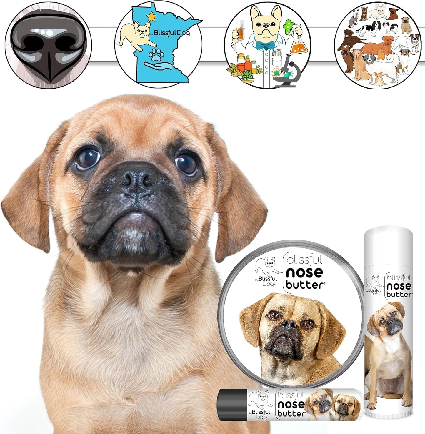 The Blissful Dog Puggle Nose Butter for Dry, Cracked Skin, Lick-Safe Dog Nose Balm with Moisturizing Shea Butter, Almond, Olive, and Essential Oils, Pet Supplies, Uncented, 1 oz.