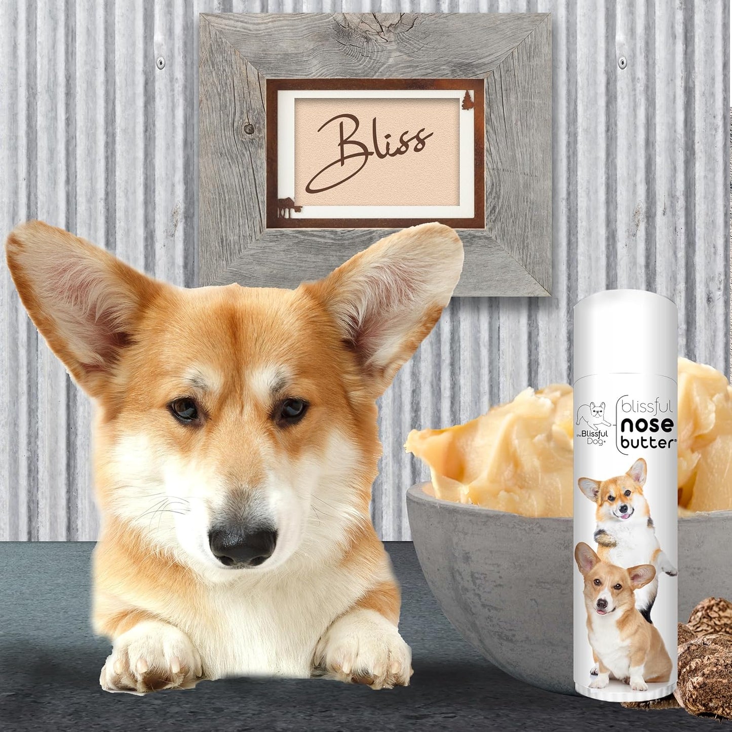 The Blissful Dog Corgi Unscented Nose Butter, 0.50-Ounce