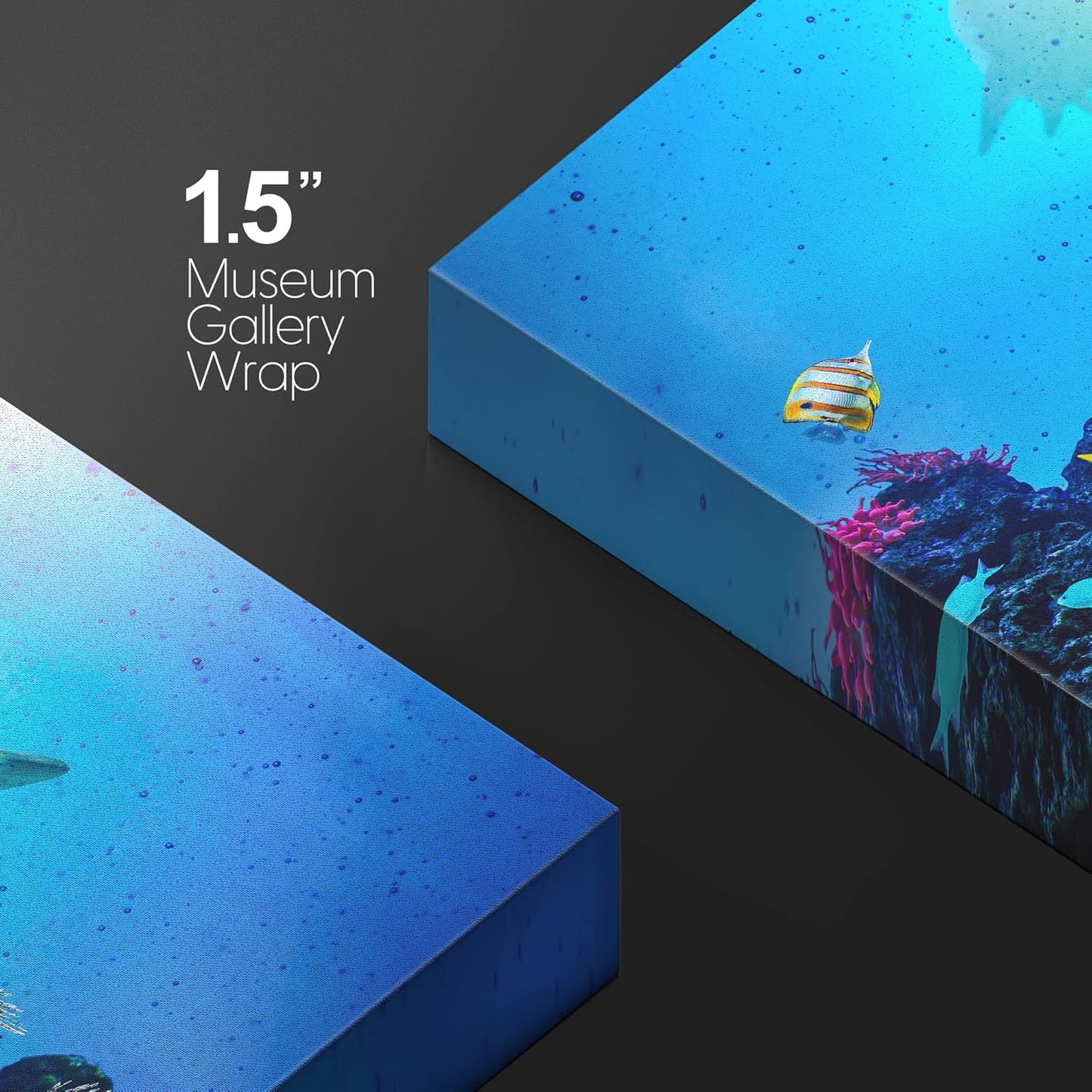 wall26 Canvas Print Wall Art Vibrant Coral Reef Shark Fish Anemone Reef Nature Animals Photography Realism Rustic Scenic Landscape Wilderness Earth for Living Room, Bedroom, Office - 12"x18"