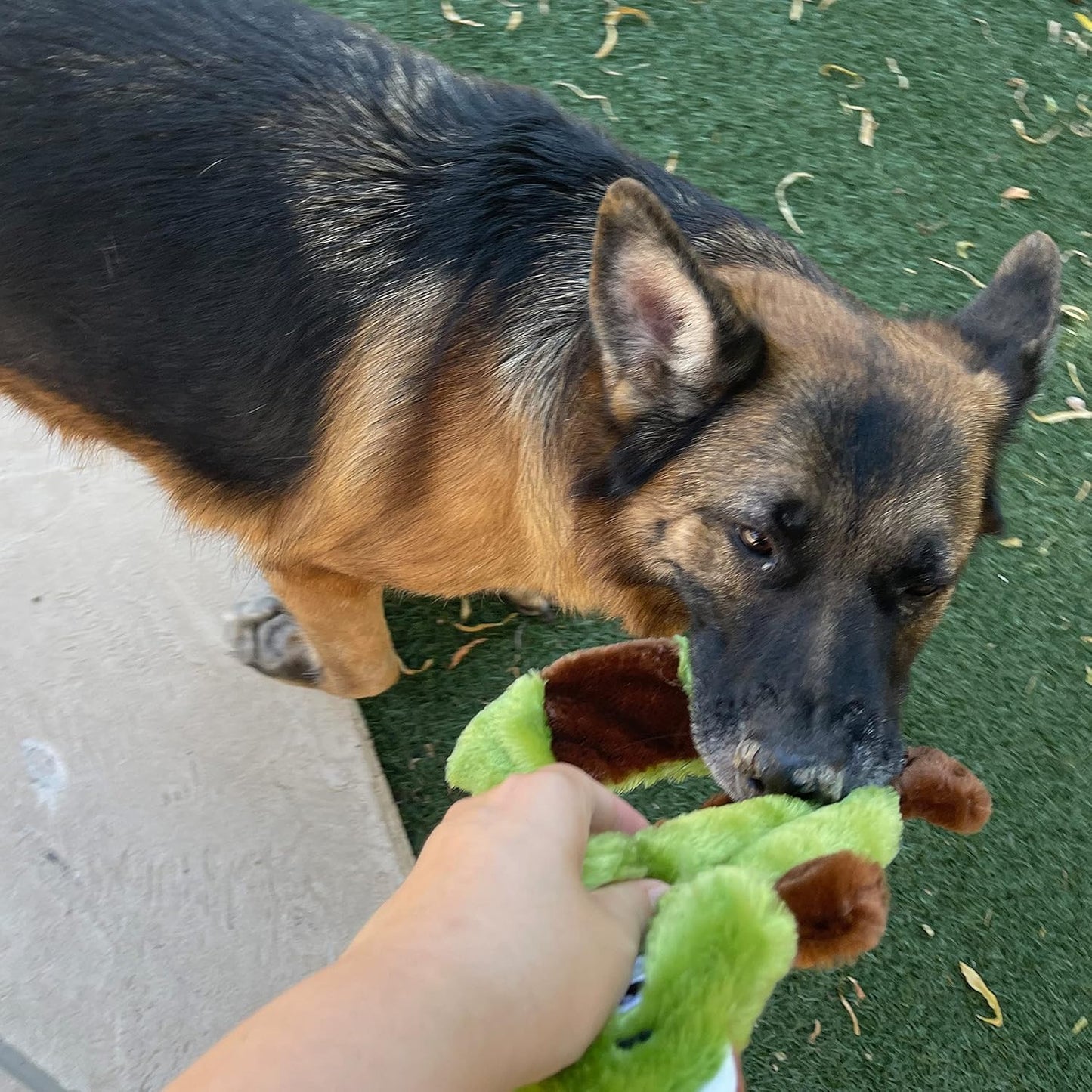 Jalousie 5 Pack Stuffingless Dog Squeaky Toys Dog Toy w/Durable Liner No Stuffing Dog Toy - Dog Toys Crinkle Paper Squeaker Toy for Medium Large Dogs (5 Pack - Color 2 - Squeaky)