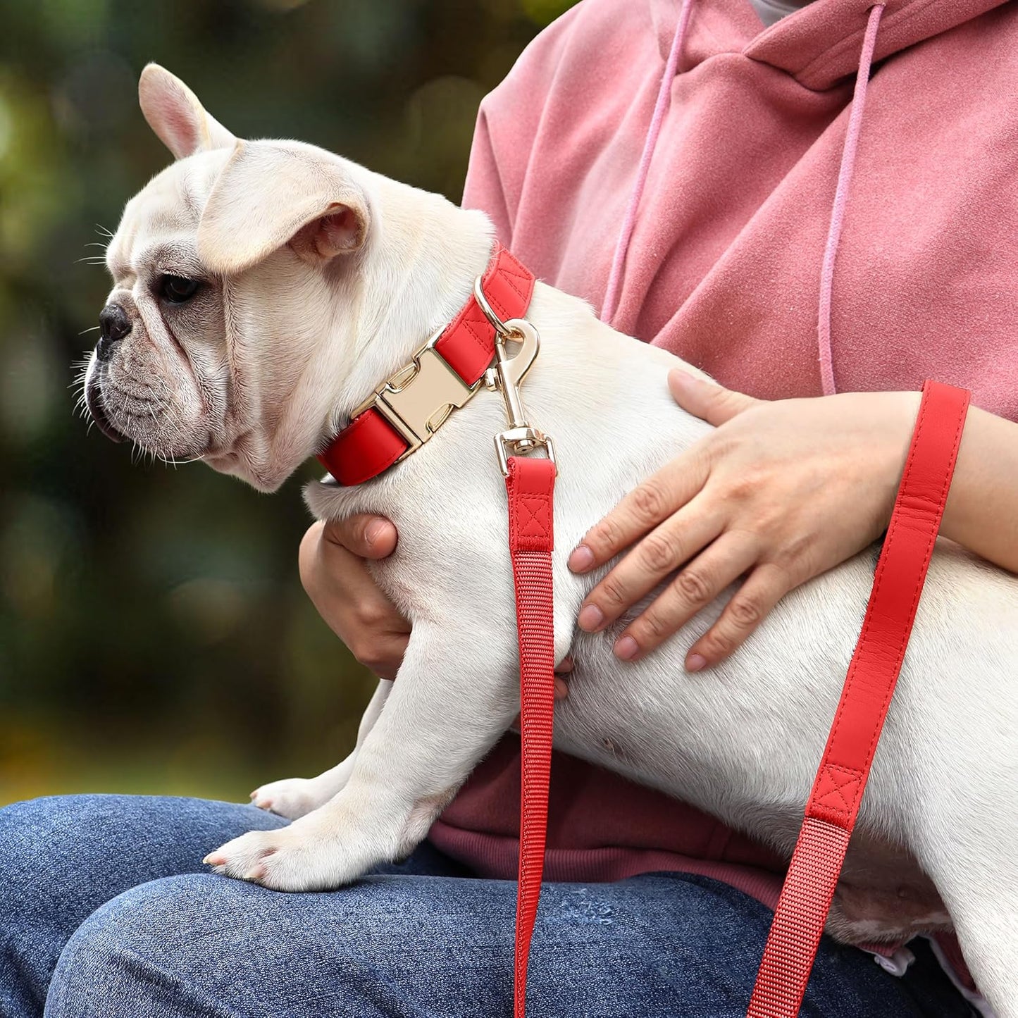 PET ARTIST Soft PU Leather Dog Collar, Bright & Classic Red Dog Collar with Quick Release Rose Metal Buckle, Adjustable Nylon Padded Durable Pet Collars for Small Dogs Girl, Neck Fit 9-14"