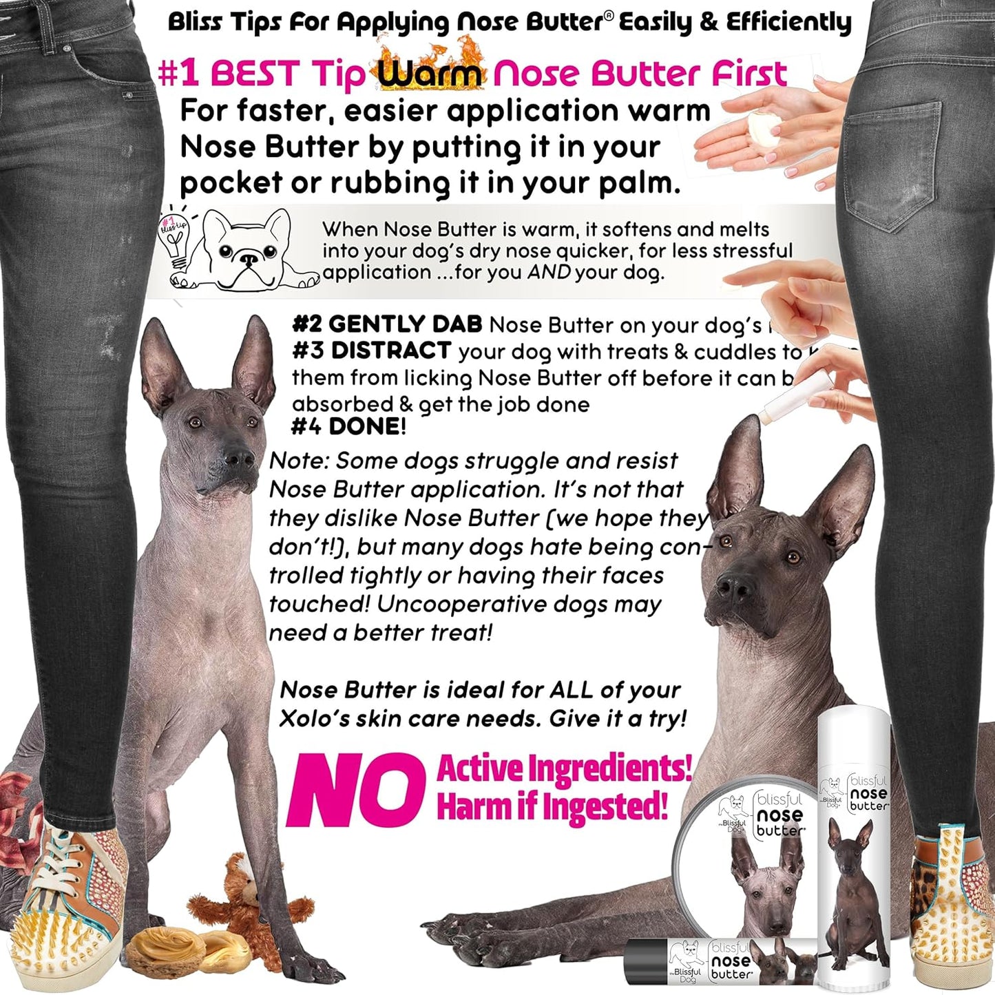 The Blissful Dog Xoloitzcuintli Nose Butter for Dry, Cracked Skin, Lick-Safe Dog Nose Balm with Moisturizing Shea Butter, Almond, Olive, and Essential Oils, Pet Supplies, Uncented, 4 oz.