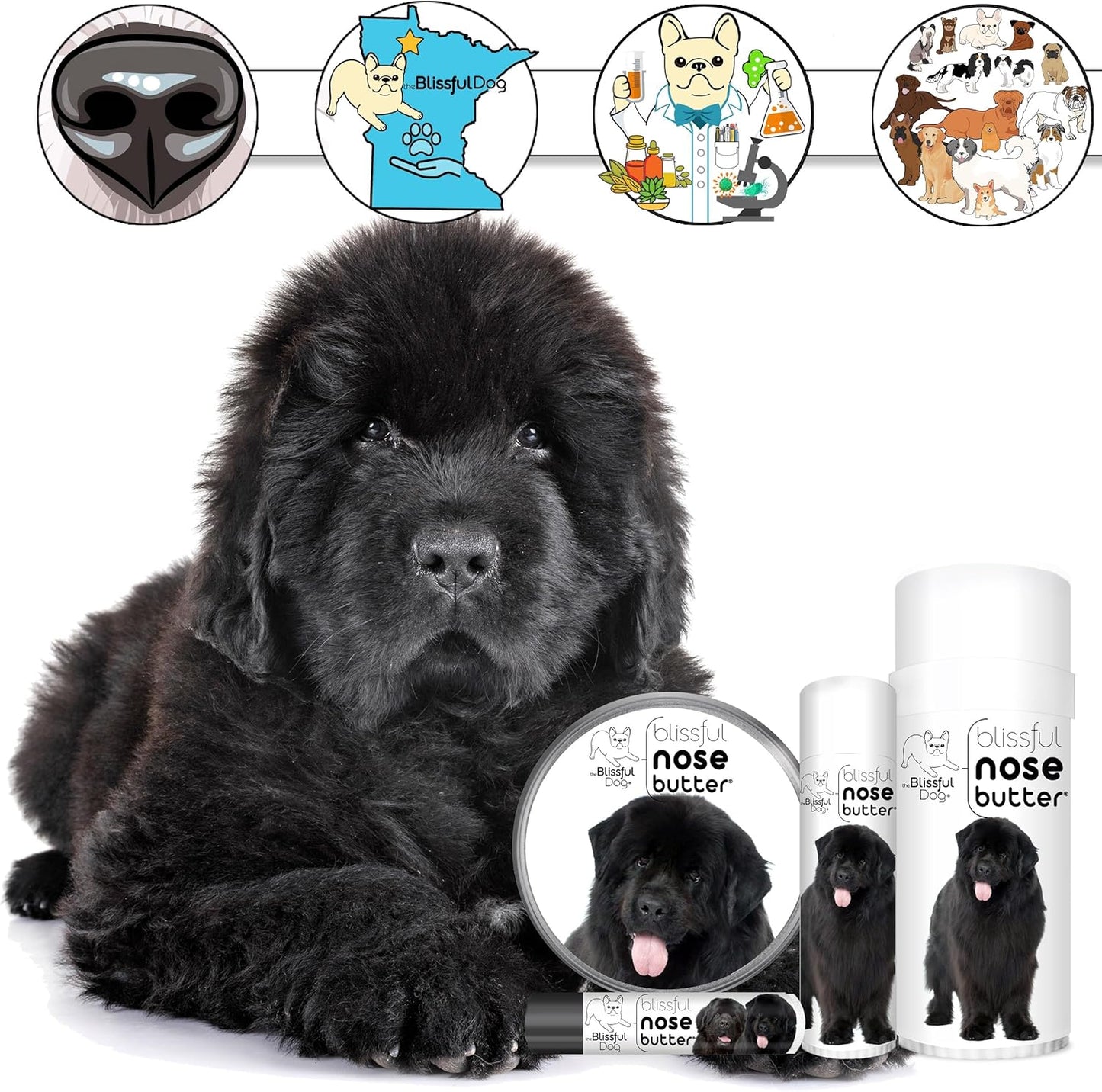 The Blissful Dog Newfoundland Nose Butter for Dry, Cracked Skin, Lick-Safe Dog Nose Balm with Moisturizing Shea Butter, Almond, Olive, and Essential Oils, Pet Supplies, Uncented, 1 oz.