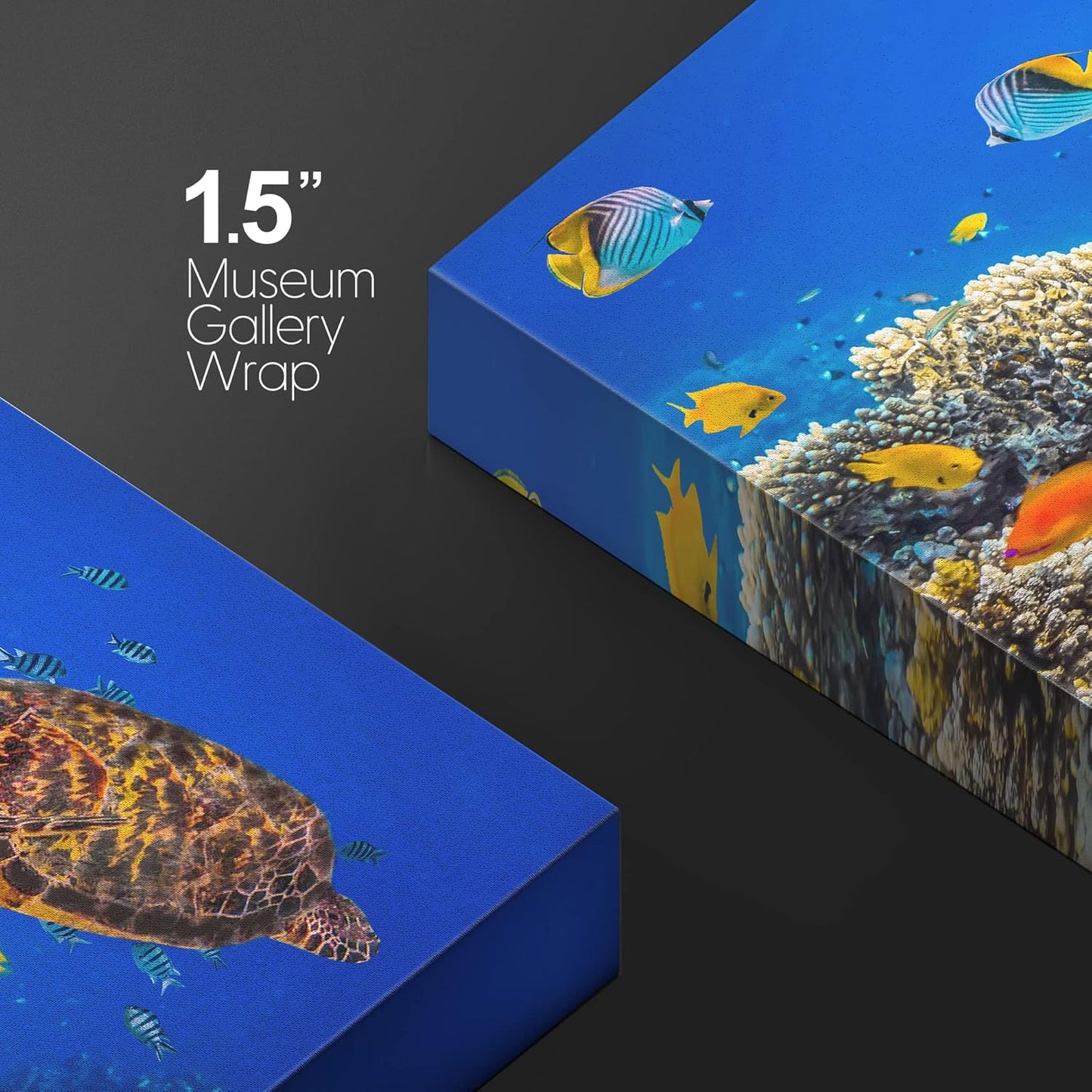 wall26 Canvas Print Wall Art Neon Coral Reef Blue Hippo Tang Fish Turtle Nature Animals Photography Realism Rustic Scenic Landscape Wilderness Colorful for Living Room, Bedroom, Office - 16"x24"